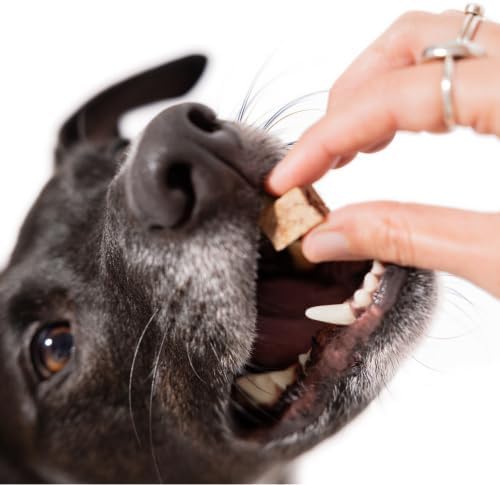 Maev Human-Grade Freeze Dried Raw Beef Liver Treats | 100% USDA Certified Single-Ingredient | Healthy, Human-Grade Dog Snacks | Perfect for Training & Sensitive Diets