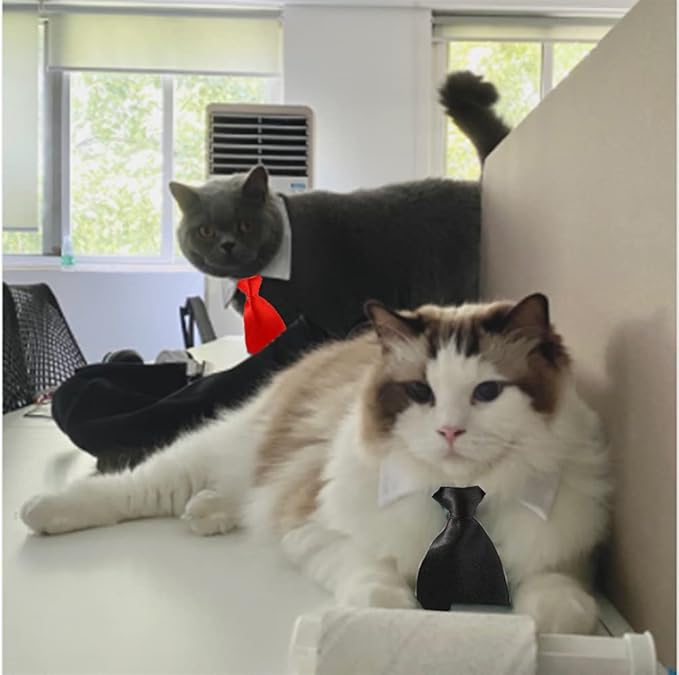 4 Pieces Pets Dog Cat Bowtie Pet Costume Adjustable Formal Necktie Collar for Cats Small Dogs Puppy Grooming Accessories (Black/red)