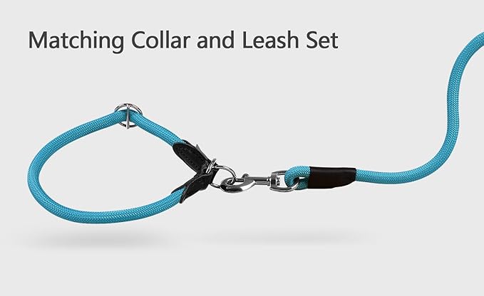 Dog Leash, Braided Rope Traction – Walking Training Lead for Medium/Large Dogs ((1/2") x 6FT, Light Blue)