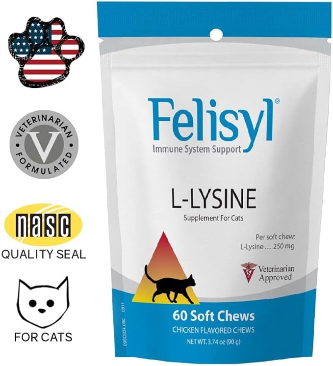 L-Lysine Soft Chews for Cats (60 Soft Chews) – Supports Immune, Respiratory, and Eye Health. Eases Sneezing, Runny Nose, and Watery Eyes. Salmon Flavor - (6 Pack)