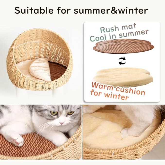 Wood Cat Tree for Large Cats, Modern Indoor Cat Tower with Basket Beds, Cat Condo & Clear Hammock, Multi-Level Wooden Cat Furniture for Home Living Room Decor (Rubber Wood)