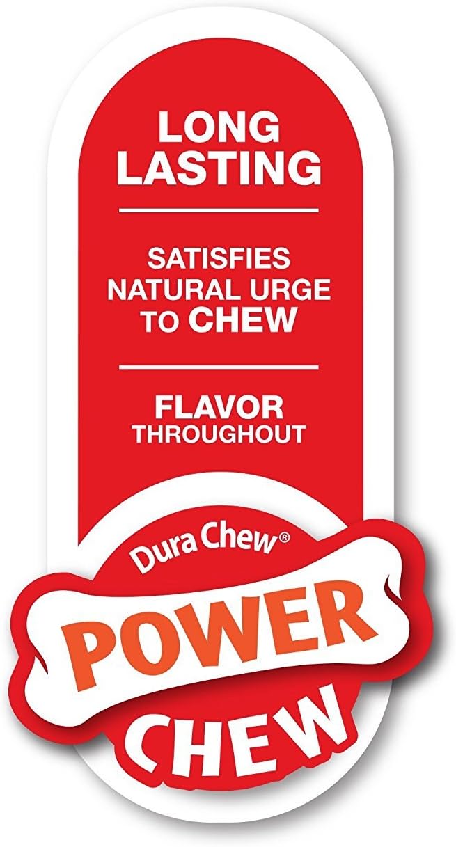 Nylabone Original Bone Power Chew Toy for Dogs, Durable Dog Toys for Aggressive Chewers, Basted Blast Chicken Flavor, Large - Up to 50 lbs, 2 Pack