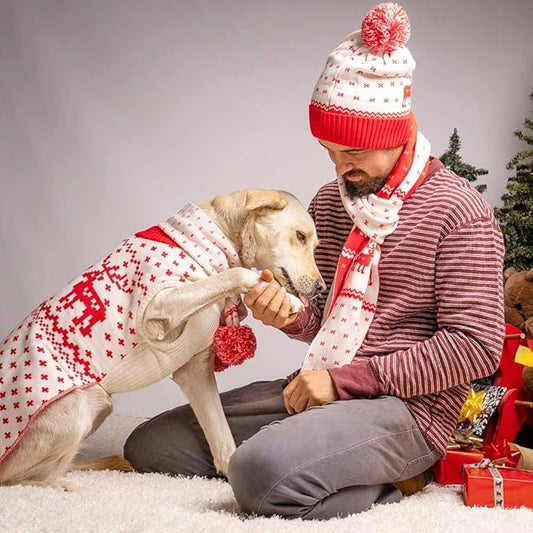 Blueberry Pet Dog Sweater: Festive Red Ugly Christmas Sweater for Medium Dogs, Holiday Reindeer & Snowflake Pullover, 14" Back Length, Perfect Small Dog Holiday Sweater for Family Photos