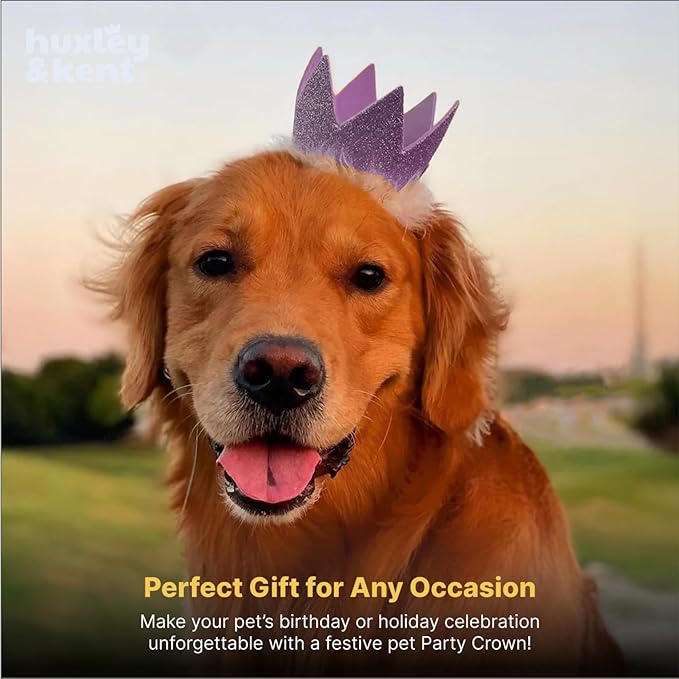 Huxley & Kent Pet Party Crown Hat for Dogs & Cats - Comfortable SnugFit Adjustable Straps - Glitter Crown for Parties, Gotcha Days & Celebrations - Purple, Large