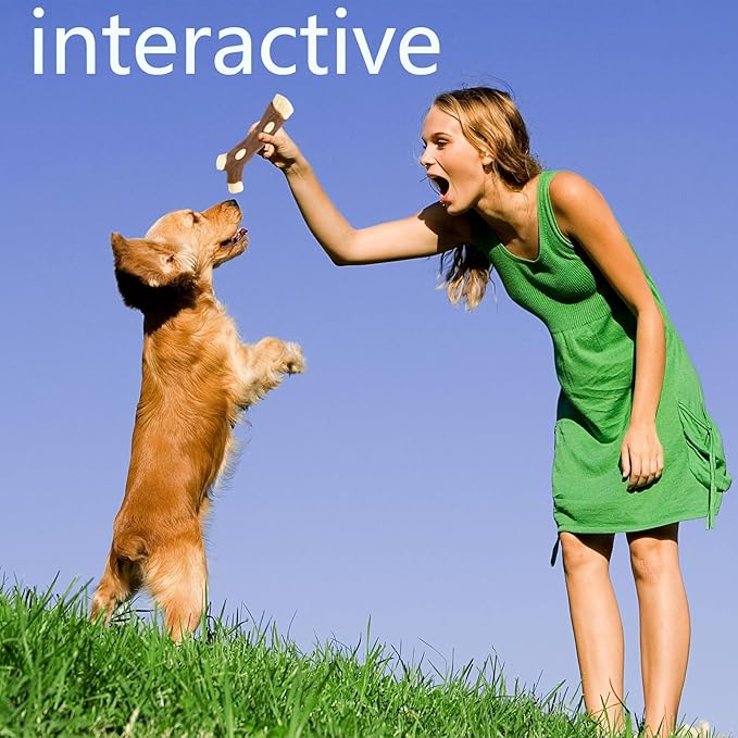 Dog Bones Chew Toys for Aggressive Chewers, 6 Pack Real Beef Flavor,Indestructible Dog Teething Chew Toys for Large/Medium/Small Puppies Breed,Tough Pet Toy with Durable Nylon