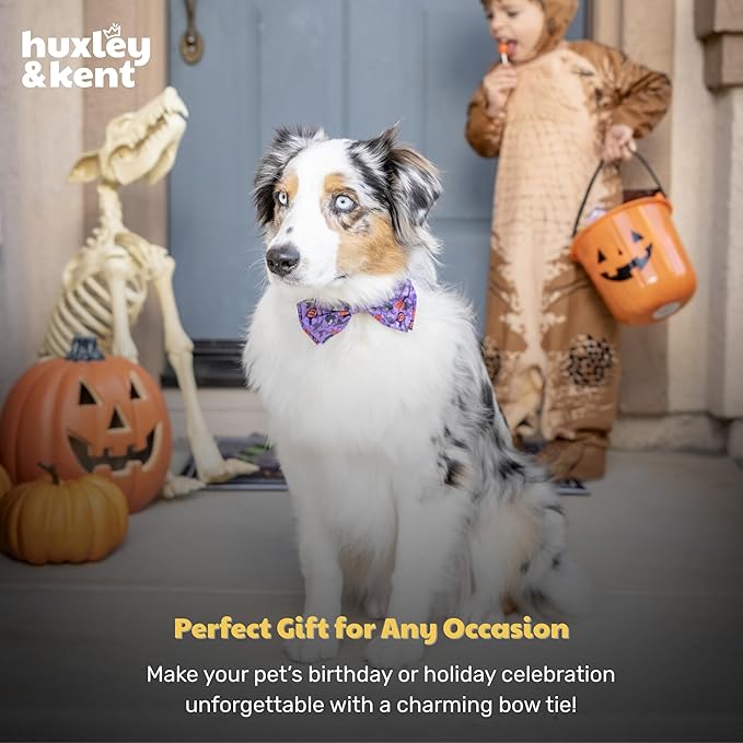 Huxley & Kent Pet Bow Tie for Dogs & Cats - Halloween Adjustable Hook & Loop Collar Accessory - Cute & Comfortable for Holidays & Celebrations - Witch's Brew, Small