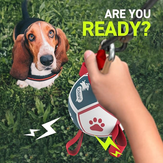 QDAN Dog Toys with Bell Inside, Durable Dog Balls for Tug of War, Outdoor Dog Toys, Squeaky Ball Toy (Blue, 5 inch)