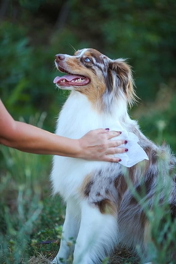 earthbath, Hypo-Allergenic Dog Eye Wipes - Fragrance Free Tear Stain Remover for Dogs, Made in USA, 100% Cruelty Free Eye Wipes for Dogs, All Natural Pet Eye Wipes, Cat & Dog Wipes - 30 Count (1 Pack)