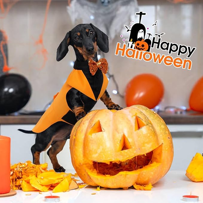 Kuoser Dog Tuxedo Suit and Bandana Set, Pumpkin Color Dogs Thanksgiving Outfit Adjustable Dog Halloween Costume with Bow Tie for Large Medium Small Dogs Golden Retriever Samo Bulldogs, L