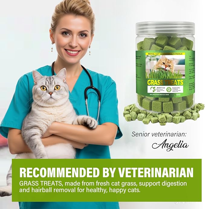 Cat Grass Treats, Organic Grass Treats for Indoor Cats, Hairball Relief & Dental Health Support, Natural Snacks with High Fiber Formula