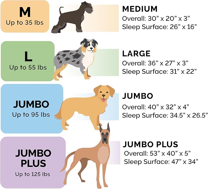 FurHaven Cooling Gel Dog Bed & goDog Toy - Squeaky Plush Dino with Chew Guard Technology for Large Dogs - Plush & Velvet Waves Perfect Comfort Sofa - Granite Gray, Jumbo Plus/XXL