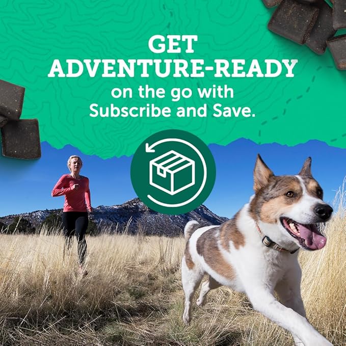 Zuke's Hip and Joint Support Dog Treats for Adult Dogs, Senior Dog Treats Made with Real Peanut Butter and Oats, 16 oz. Resealable Pouch - 16 oz. Bag