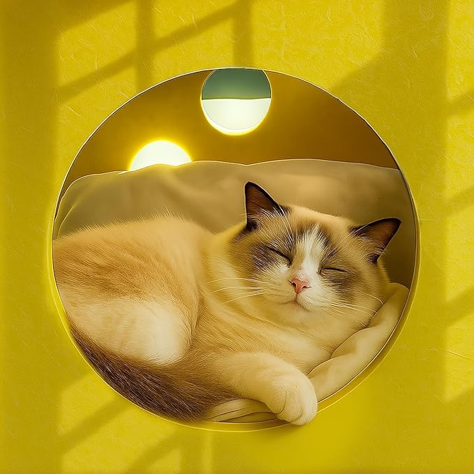 Cat Houses with 40 Cat Toys for Indoor Cats, Cute Cat Bed Cave for Multiple Large Cats, Kitten Toys for Indoor Kittens, 17 Inches