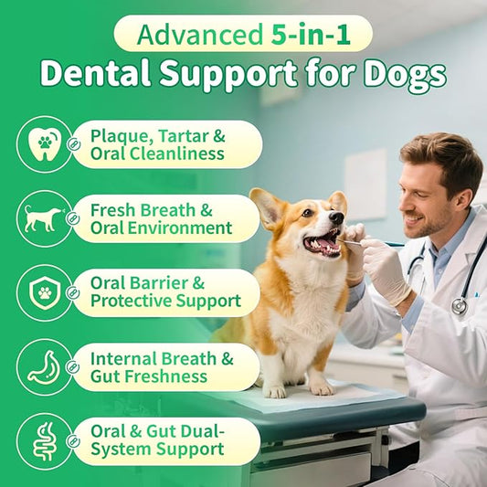 Dog Dental Powder – Teeth Cleaning Powder with 6B CFU Probiotics, Enzymes & Antioxidants, Plaque & Tartar Off, Fresh Breath Support, No Brushing Oral Care, Mint Chicken Flavor, 75 Servings