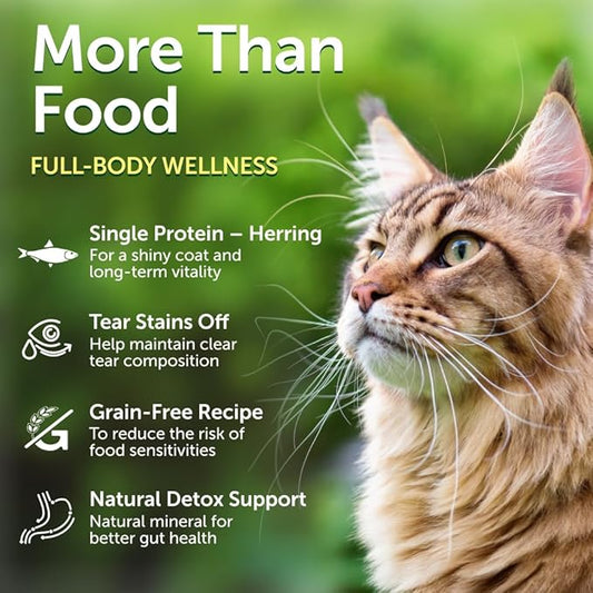 Nature's Protection Dry Cat Food - Grain Free, High Protein Cat Food Dry Kibble for Indoor Adult Cats with Red Fur - Sensitive Stomach, No Tear Stains & Hairball (Superior Care - Herring, 14.11 oz)