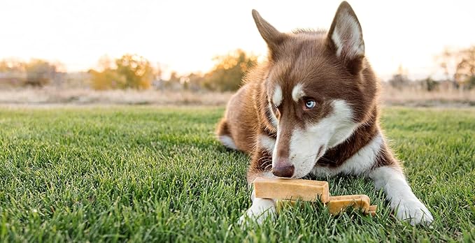 peaksNpaws Himalayan Dog Chews, High Protein Yak Cheese, Lactose Free, Natural Dog Treat, Long Lasting Chew Stick for Aggressive Chewers Over 80 lbs, 3 Jumbo Sticks, 100% Eco-Friendly Packaging