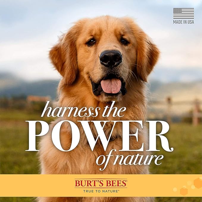 Burt's Bees for Dogs Natural Oatmeal Conditioner with Colloidal Oat Flour and Honey | Oatmeal Dog Conditioner, 1 Gallon | Cruelty Free, Sulfate & Paraben Free, Soothing Dog Conditioner for All Dogs
