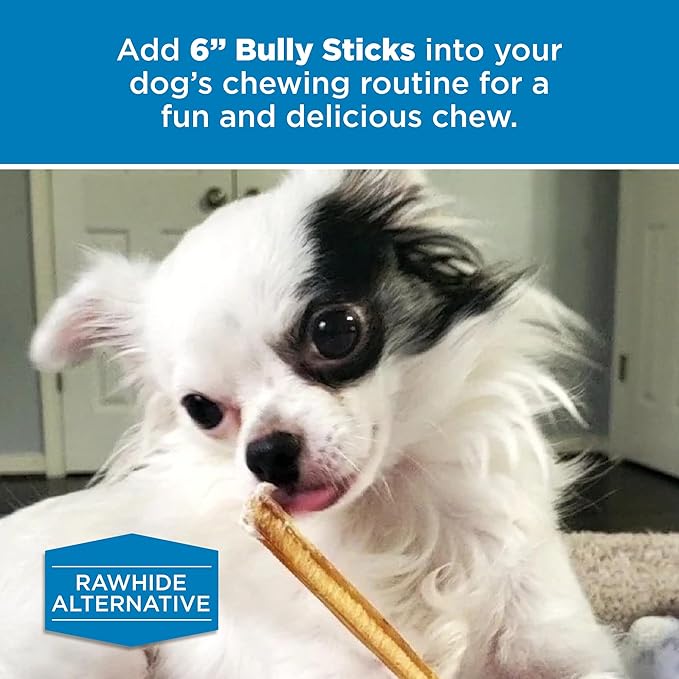 Best Bully Sticks 6 Inch Bully Sticks - 8 oz (Pack of 1) - Natural Grass-Fed, Grain and Rawhide Free, Great for Medium or Large Pets