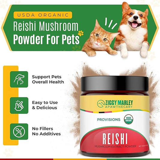 Ziggy Marley's USDA Organic Reishi Mushroom Powder for Dogs & Cats – Support Liver, Kidney & Heart – Fruiting Body Extract, 90 Grams