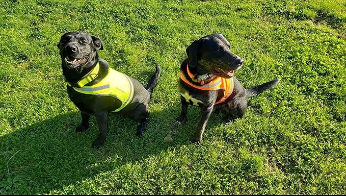 SafetyPUP XD Lite Dog Vest. Coverage to Mid Back. Reflective Hi Visibility Fluorescent Yellow Fabric Helps to Keep Them in Sight and Safe On and Off Leash.