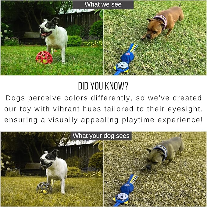 Flirt Pole for Dogs Heavy Duty - Multi-Sensory Tough Chase Toy for Medium & Large Breeds – Extra Strong 35" Dog Teaser Wand for Backyard Play, Training and Interactive Fun (Raccoon)