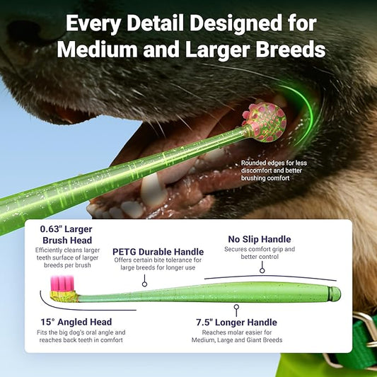 Big Dog Toothbrush for Large and Medium Dogs, 2pcs, Ultra Soft Bristle, Long-Lasting Handle, Dog Tooth Brush and Dental Care Brush, Super Thin Bristle Gentle on Gum for Sensitive Pets, Neon Green