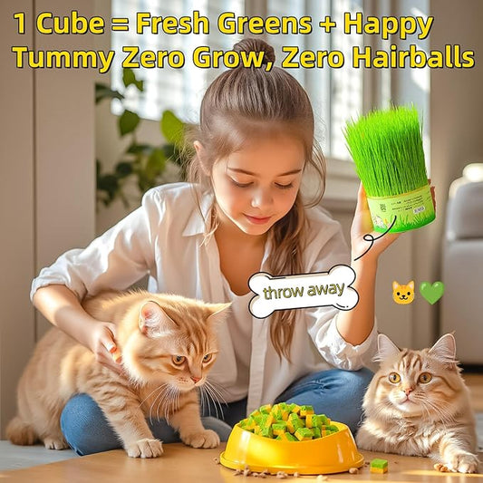 Cat Toy Grass Treats Freeze Dried 2 in 1 120g Fish Oil Chicken Cats Chew Grass Pellet Kitten Catnip for Hairball Removal Kitty Bite Snack for Cleaning Teeth Kitten Dental Food Indoor (4.23oz)