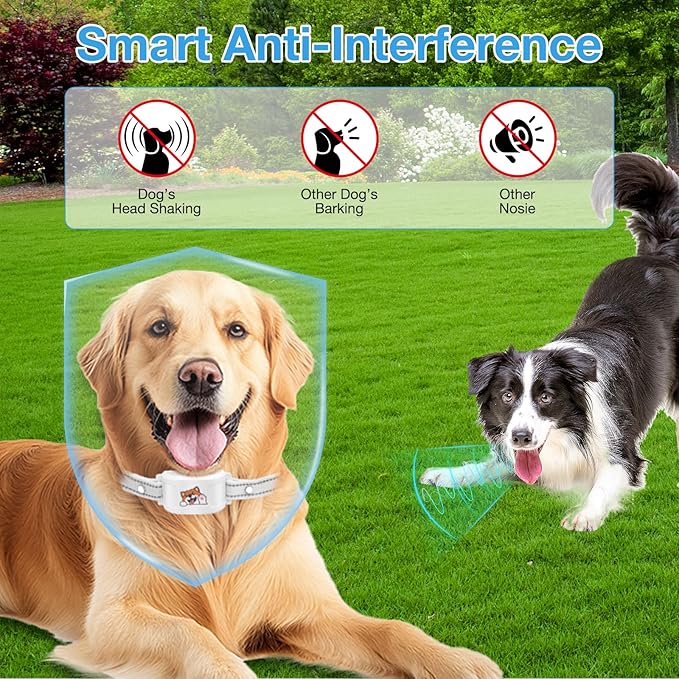 GPS Wireless Dog Electronic Fence & Dog Training Collar, Waterproof Rechargeable Collar with GPS Tracker,Customizable Boundaries via App, No Subscription Required, One Size Outdoor (White)