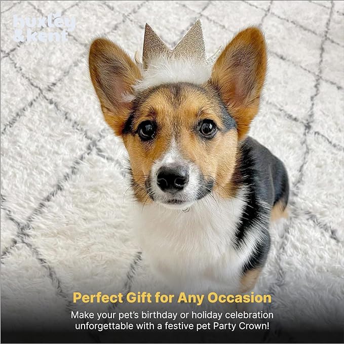 Huxley & Kent Pet Party Crown – Adjustable Glitter Crown Hat with SnugFit Straps – Party Accessory for Dogs & Cats – Gold, Large