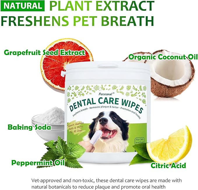 Dental Cleaning Kit, Dental Care Wipes to Clean Plaque on The Surface of The Teeth, Beef Liver Flavour Dental Powder with Probiotic to Solve Oral Problems from The Inside of Digestion