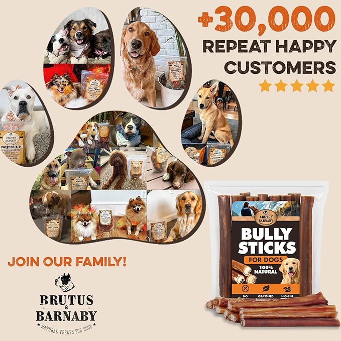 BRUTUS & BARNABY Bully Sticks for Dogs, 12" – Low-to-No Odor, Grass-Fed, Rawhide-Free Chews for Aggressive Power Chewers