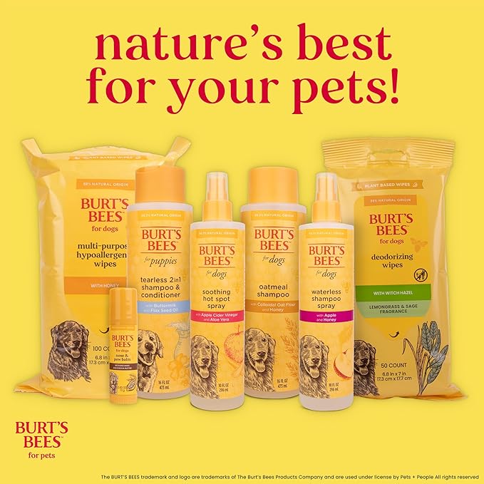 Burt's Bees Dog Wipes for Daily Grooming - Deodorizing Pet Wipes for Dogs, Cleans Paws & Face - A Waterless Bath & Dog Grooming Supply with Witch Hazel - Plant Based Dog Wipes, 100 Count