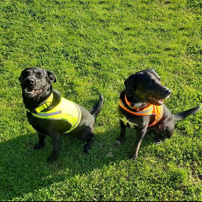 Blaze Orange Dog Vest, Lite Edition. High Visibility Dog Reflective Jacket with Mid Back Coverage. Ideal Hunting Vest, Reflective Gear for Small, Medium, and Large Breeds Helping to Keep Your PUP Safe