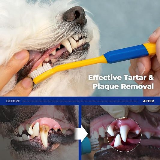 PETHROOM Pet Toothbrush | Dogs and Cats Teeth Brushing Cleaning Tooth Care | Soft Bristle Cleaning Toothbrush for Dog Puppy Cat, Removing Old Plaque and Tartar (Medium)