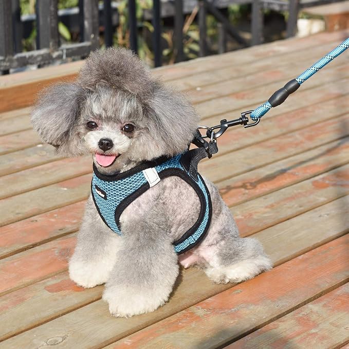 Dog Harness Step-in Breathable Puppy Cat Dog Vest Harnesses for Small Medium Dogs