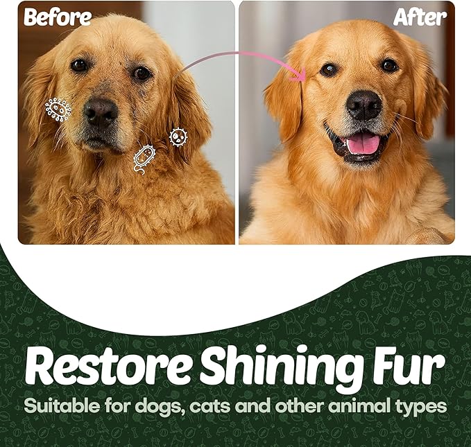 400 Dog Wipes for Paws and Butt Ears Eyes | Organic Pet Wipes for Dogs | Lavender Scented Dog Wipes Cleaning Deodorizing | Extra Thick Paw Wipes for Dogs Cats Pets | Bonus Glove Wipes Included