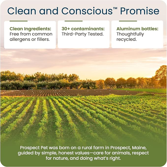 Hip and Joint Supplement for Dogs - Glucosamine with Plant-Based Chondroitin, MSM & Pumpkin - Advanced Joint Relief Dog Supplements for Large & Small Breeds - USA Made 16OZ