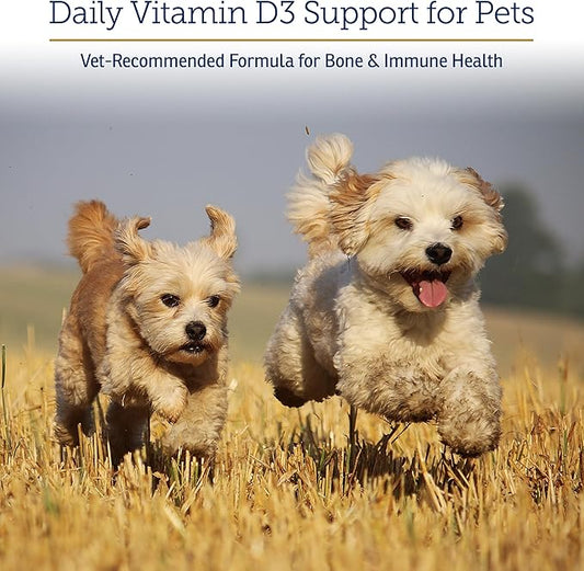 Rx Vitamins Rx D3 - Cat & Dog Vitamins Liquid D3 Drops in MCT Oil - Vitamin D for Dogs & Cats to Manage Deficiency - Aids in Dog Immune Support and Calcium Absorption - Pet Vitamin D3-2oz