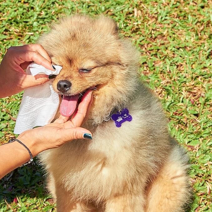 Eco Wave Hypoallergenic Plant-Based Pet Wipes, Dog and Cat Grooming Wipes for Face, Ears, Body, Butt, and Paws, Fragrance Free, Compostable, 100 Count