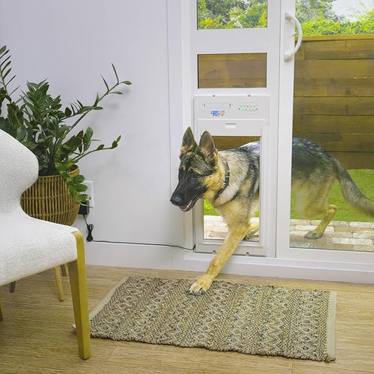Power Pet Automatic ROLL UP Door by High Tech Pet Brand - Motorized Panel Rolls Up - Pet Operated - Remote App Control - 24/7 Exit & Entry Timers (Patio Tall - 92½-96, Medium)