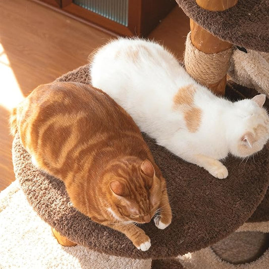 68 Inch Tall Mid Century Modern Solid Wood Cat Tree Tower for Indoor Cats Large Adult, Sturdy Heavy-Duty Cat Condo with Scratching Post, Perch, Scratcher, Platform, Cozy Hideaway (Brown, 68“H)