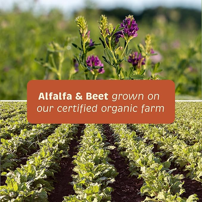 Spirited Paw Pet Health Bundle - Dental & Joint Support for Dogs - Teeth Powder & Chewable Wafers for Plaque, Tartar, and Mobility - 165 g Powder & 100 Wafers