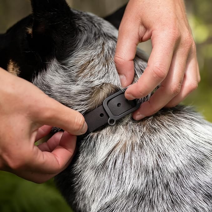 Waterproof Dog Collar - Durable, Comfortable and Adjustable Outdoor Dog Collar with Wear Resistant Buckle and ID Tag Ring for Large Dogs by Nuvuq (Black, Large)