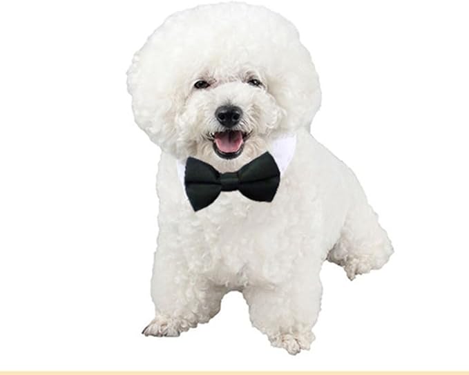 6 Pieces Pets Dog Cat Bowtie Pet Sunglasses and Summer Pet Straw Hat with Faux Gold Chain Pet Costume Adjustable Formal Necktie Collar for Cats Small Dogs Puppy Grooming Accessories