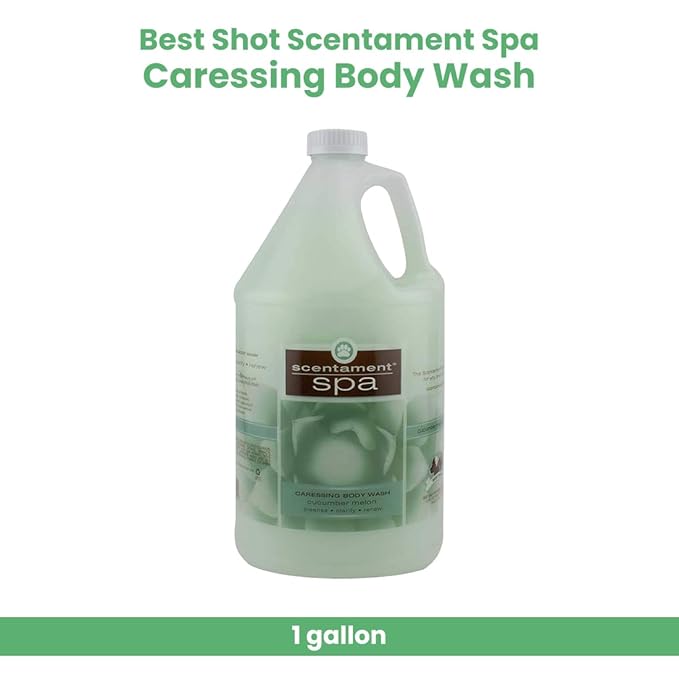 Best Shot Scentament Spa Caressing Body Wash, Cucumber Melon, 1 Gallon