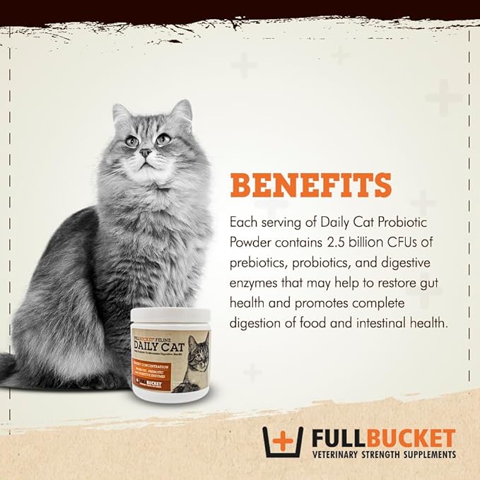 FullBucket Daily Cat Probiotic Powder - Digestive Supplement for Diarrhea, Gas and Supporting Gut & Stomach Health with Prebiotics & Enzymes, 30 Servings