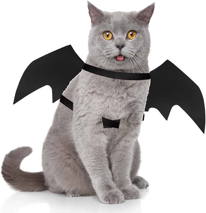 Pet Cat Bat Wings for Halloween Party Decoration, Dog Cosplay Bat Costume,Puppy and Cat Dress Up Accessories (Black, Large)