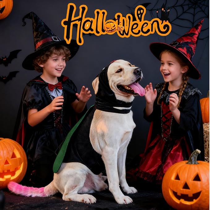 Dog Halloween Vampire Devil Cloak Cape, Red Black Classic Pet Costume for Small Medium Large Dogs, Holiday Cosplay Special Events (Mosquito-Green, B3)