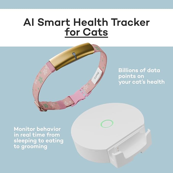 Health Tracker for Cats - Smart Cat Collar with Safety Breakaway Buckle for Indoor Cats, Wellness Alerts, Real-time Monitoring (Charcoal, M)