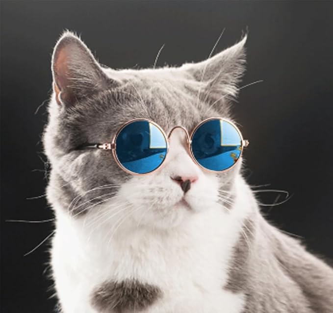 6 Pieces Pets Dog Cat Bowtie Pet Sunglasses and Summer Pet Straw Hat with Faux Gold Chain Pet Costume Adjustable Formal Necktie Collar for Cats Small Dogs Puppy Grooming Accessories